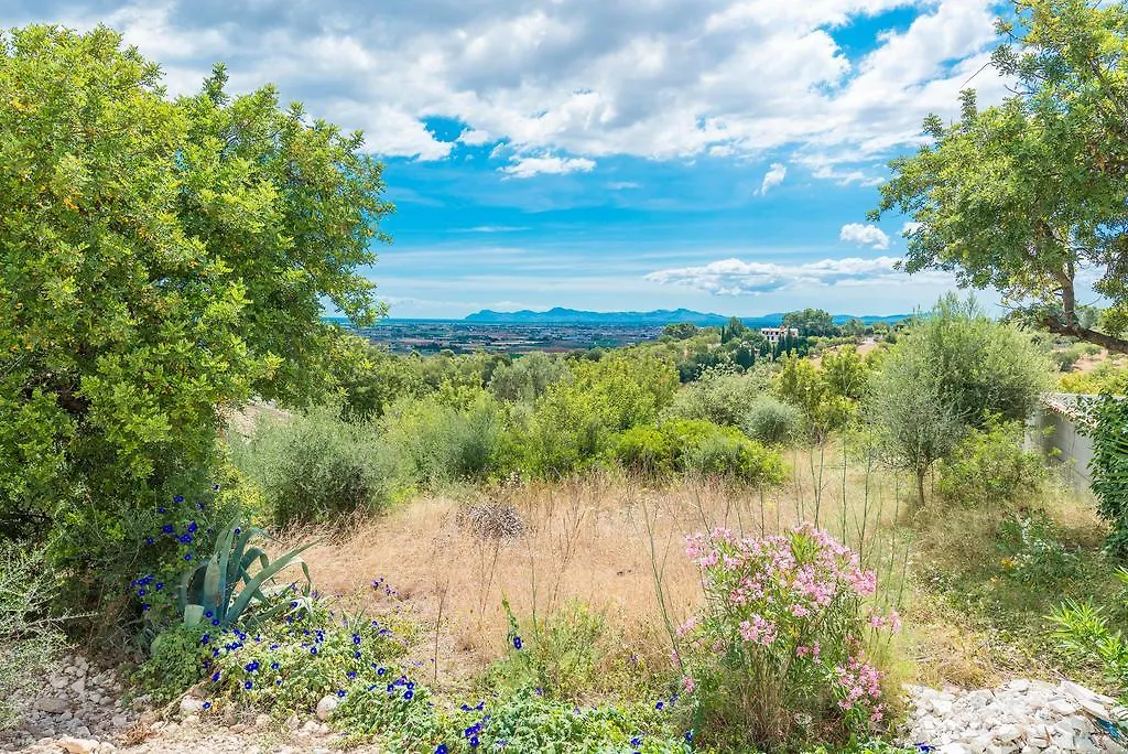 Son Borras Villa Campanet